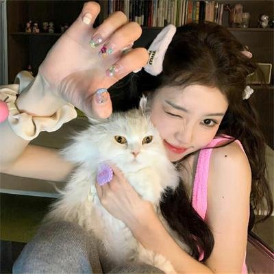 猫咪寻熊记
